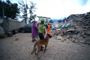 Rescuers, with the help of a dog, search for victims in damaged buildings after a strong earthquake hit Amatrice on August 24, 2016. Central Italy was struck by a powerful, 6.2-magnitude earthquake in the early hours, which has killed at least three people and devastated dozens of mountain villages. Numerous buildings had collapsed in communities close to the epicenter of the quake near the town of Norcia in the region of Umbria, witnesses told Italian media, with an increase in the death toll highly likely. / AFP PHOTO / FILIPPO MONTEFORTE